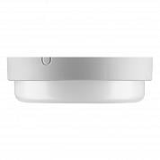  WOLTA PRO  01-12-001-6 12 6500 IP65  960 19048